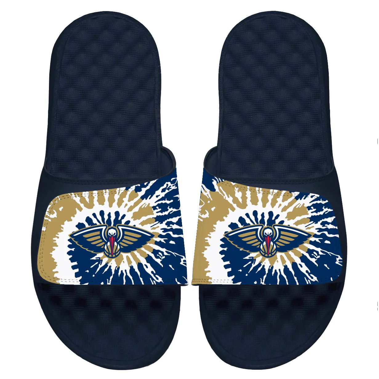 New Orleans Pelicans Slides