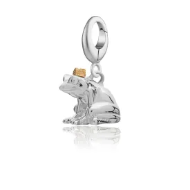 Silver Frog Charm